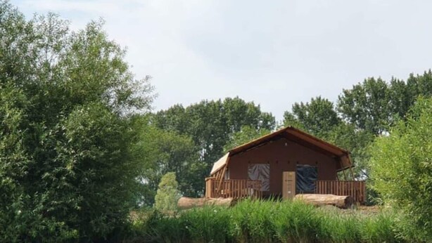 A wooden cabin with a porch, surrounded by dense greenery and a body of water.