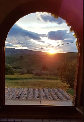Exterior - Podere Colombaione (Volterra)