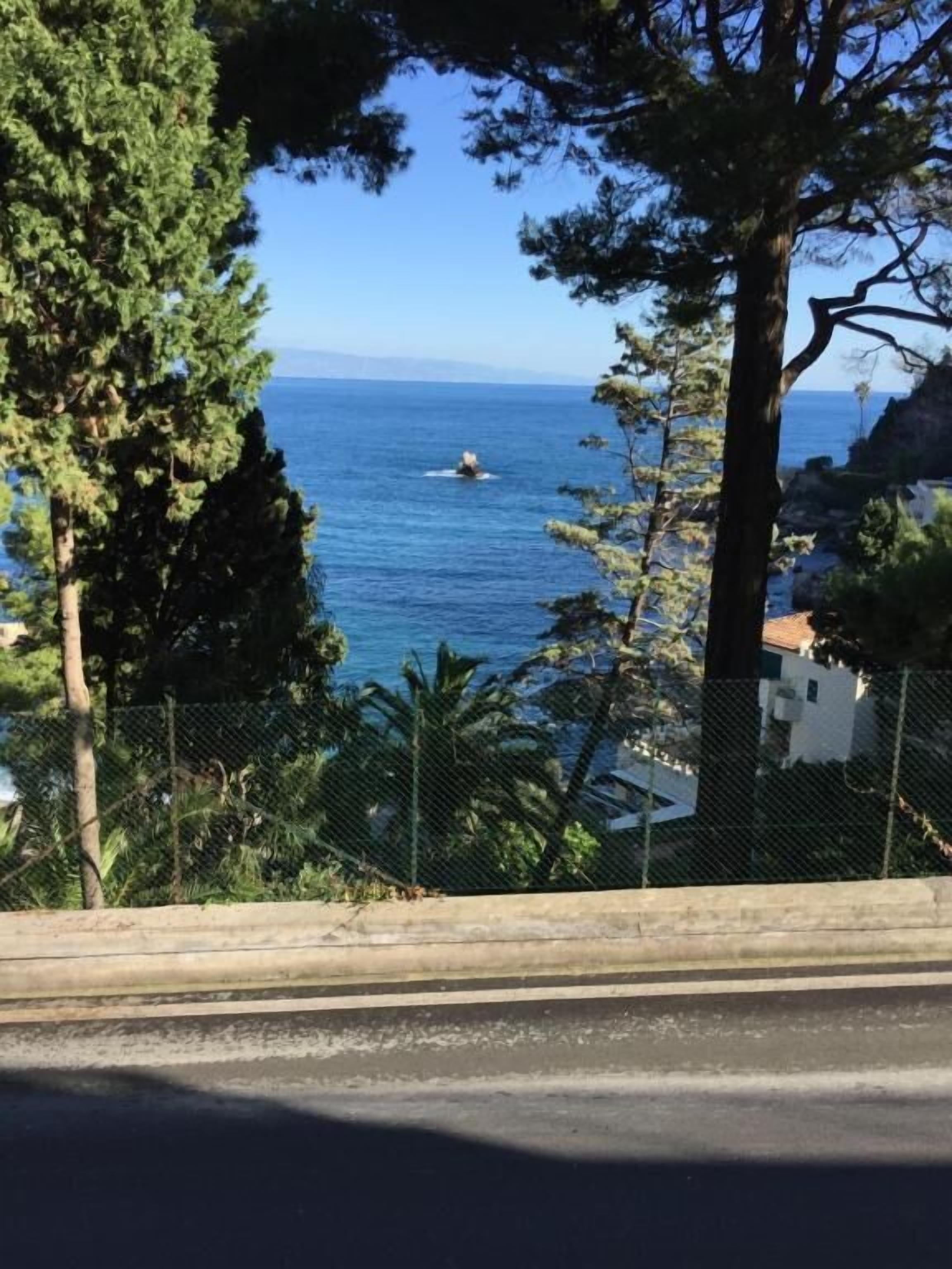 Eine Küstenstraße mit Blick auf das Meer, Bäume und einem Zaun.
