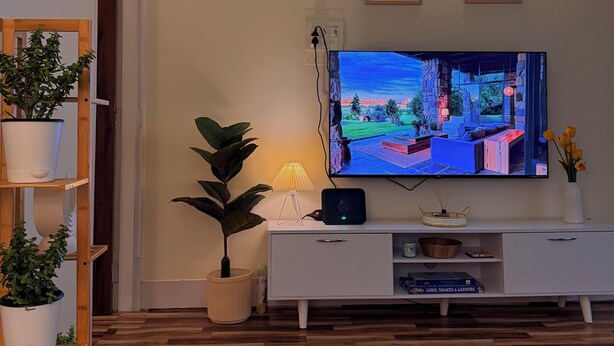 Una sala de estar con televisor, un mueble blanco para el equipo audiovisual, piso de madera y plantas en macetas.