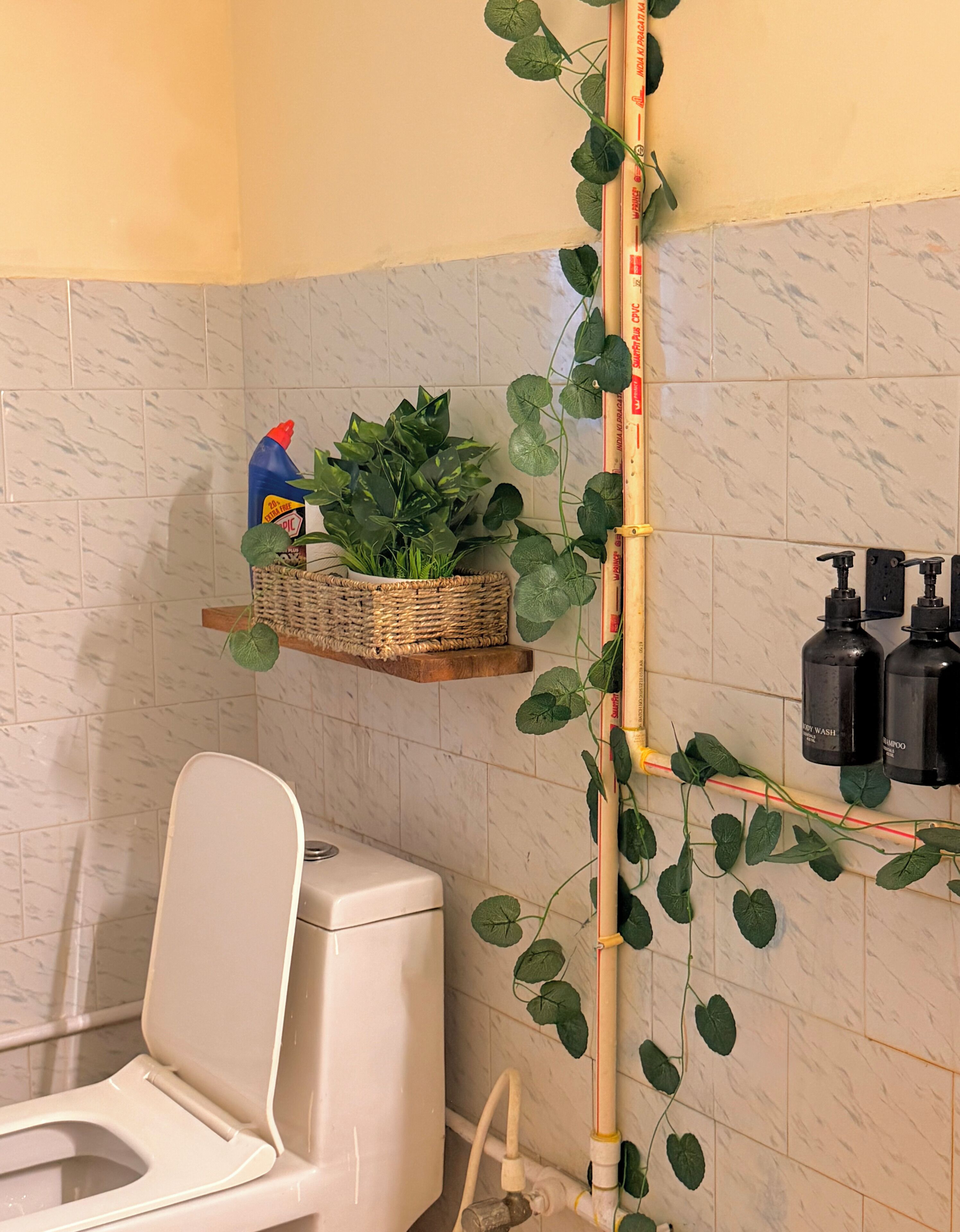 Regadera, bidet, toallas, jabón 