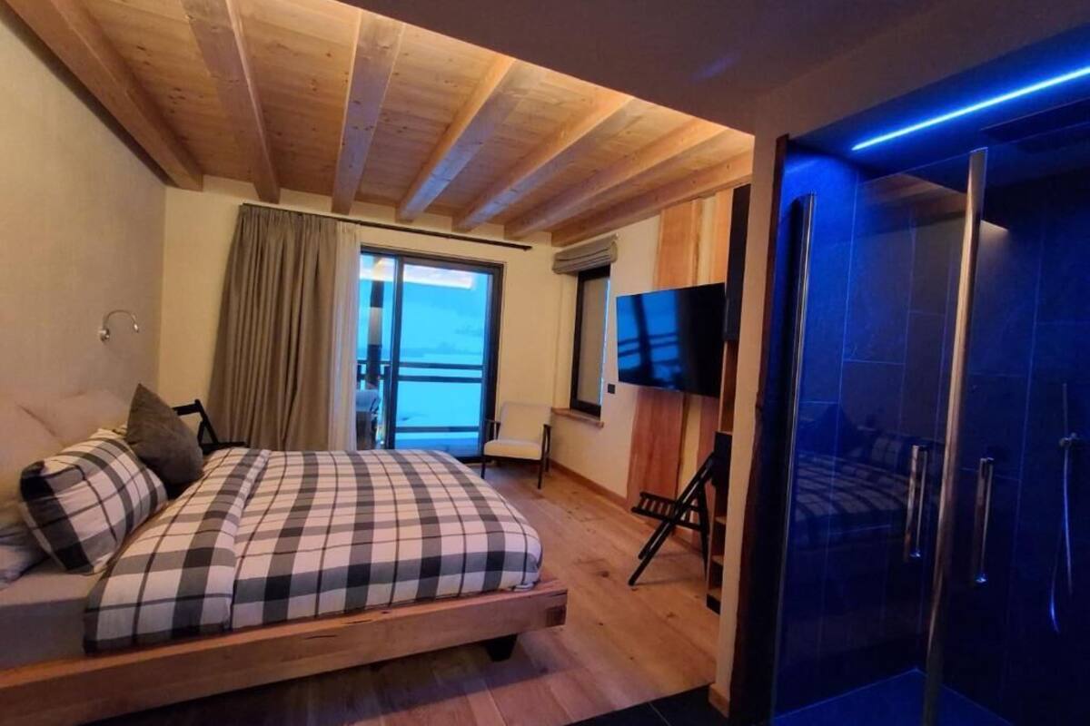 A bedroom with a bed, a TV, and a shower area.
