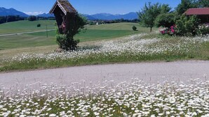 A rural landscape with a small wooden structure, a field of white flowers, and distant mountains. - Vacation rental, 45 square meters, 2nd floor, 1 separate bedroom (Bad Endorf)