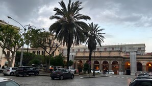 Una calle con coches aparcados, palmeras y un edificio con arcos.