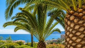 A palm tree, a curved road, and a view of the sea. - Panoramic sea view • Swimming pool • Terrace • Tennis court • Parking • Cannes (Cannes)