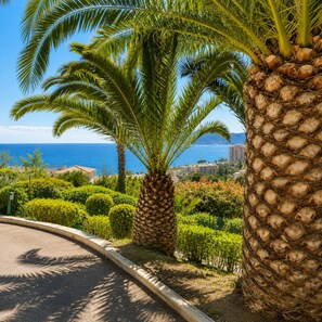 Property grounds - Panoramic sea view • Swimming pool • Terrace • Tennis court • Parking • Cannes (Cannes)