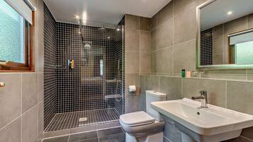 Shower, hair dryer, towels