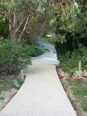A concrete pathway leading through a garden with various plants and a cactus.