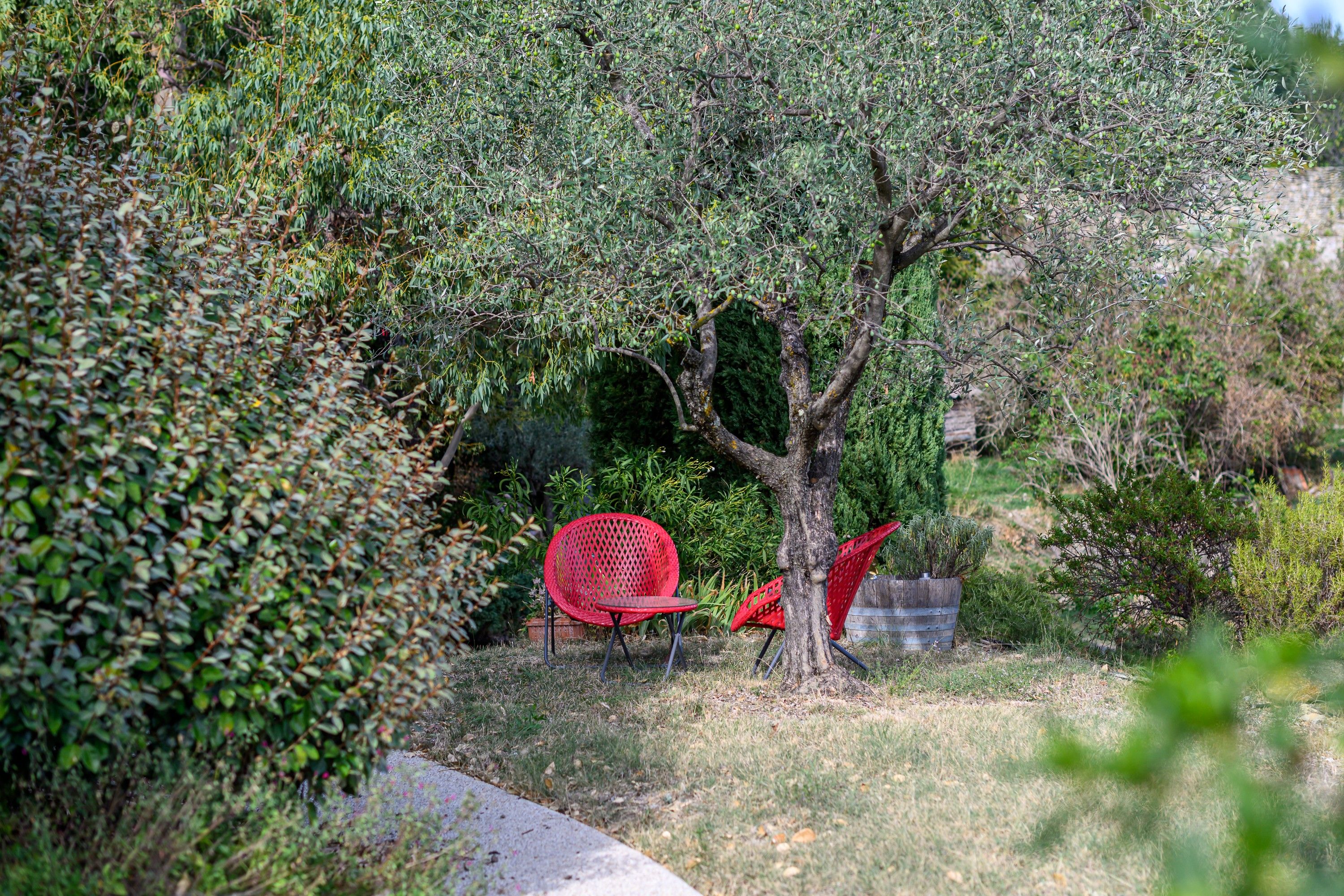 Un jardin avec un arbre, des chaises rouges et un sentier.