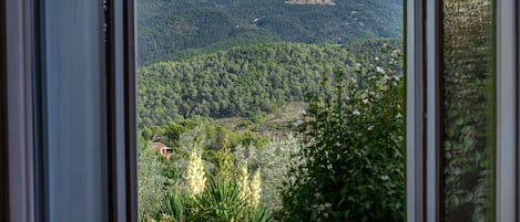 A view through a window of a mountainous landscape with dense forest and a small building in the distance.