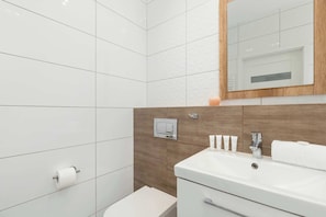 Chuveiro, secador de cabelo, toalhas de banho, shampoo