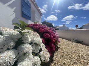 A building with a white facade, blue shutters, and a stop sign in the background. - Cozy house near the beach - 8 guests (L'Épine)