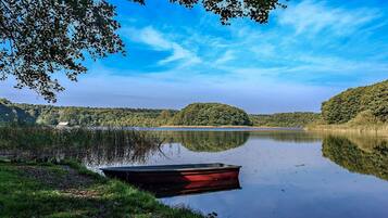 Un lago tranquilo con un bote pequeño y abundante vegetación al fondo.