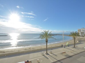 A beachside promenade with palm trees, benches, and a clear view of the sea. - Apartment with sea view - 5 guests (Le Grau-du-Roi)