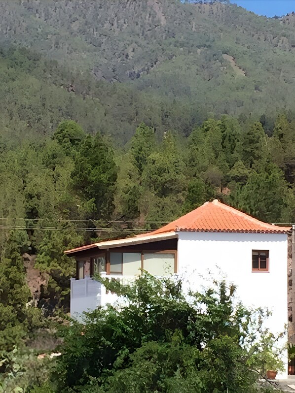 Ulkopuoli