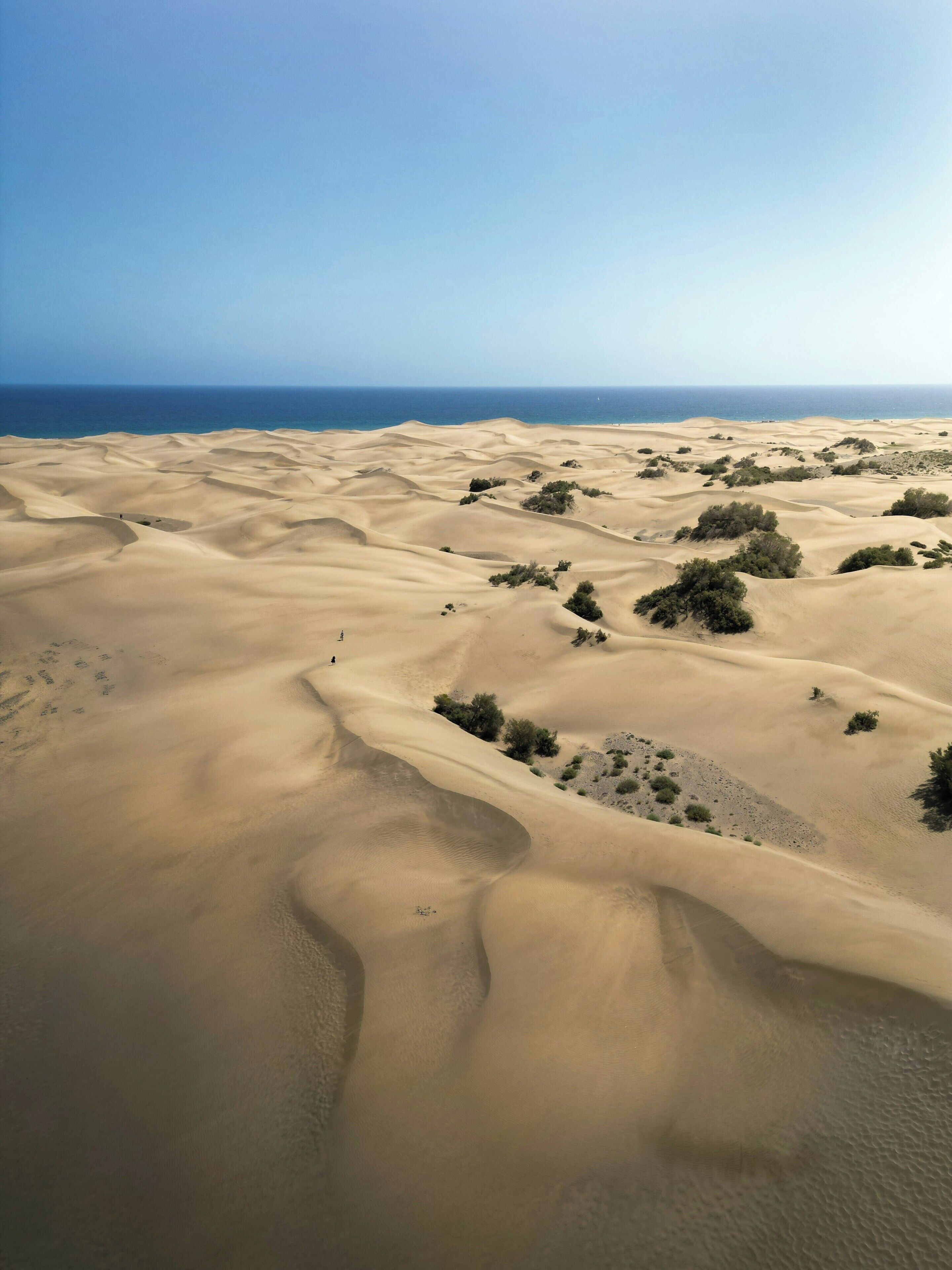 Tumbonas y toallas de playa