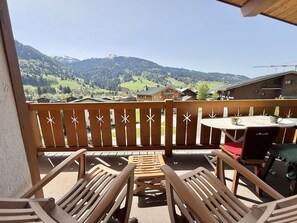 Outdoor dining - Apartment pets allowed - 8 guests (Praz-sur-Arly)