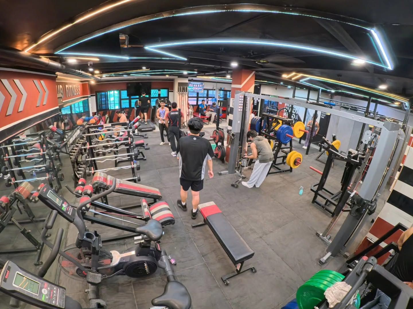 A gym with treadmills, weight machines, and benches.