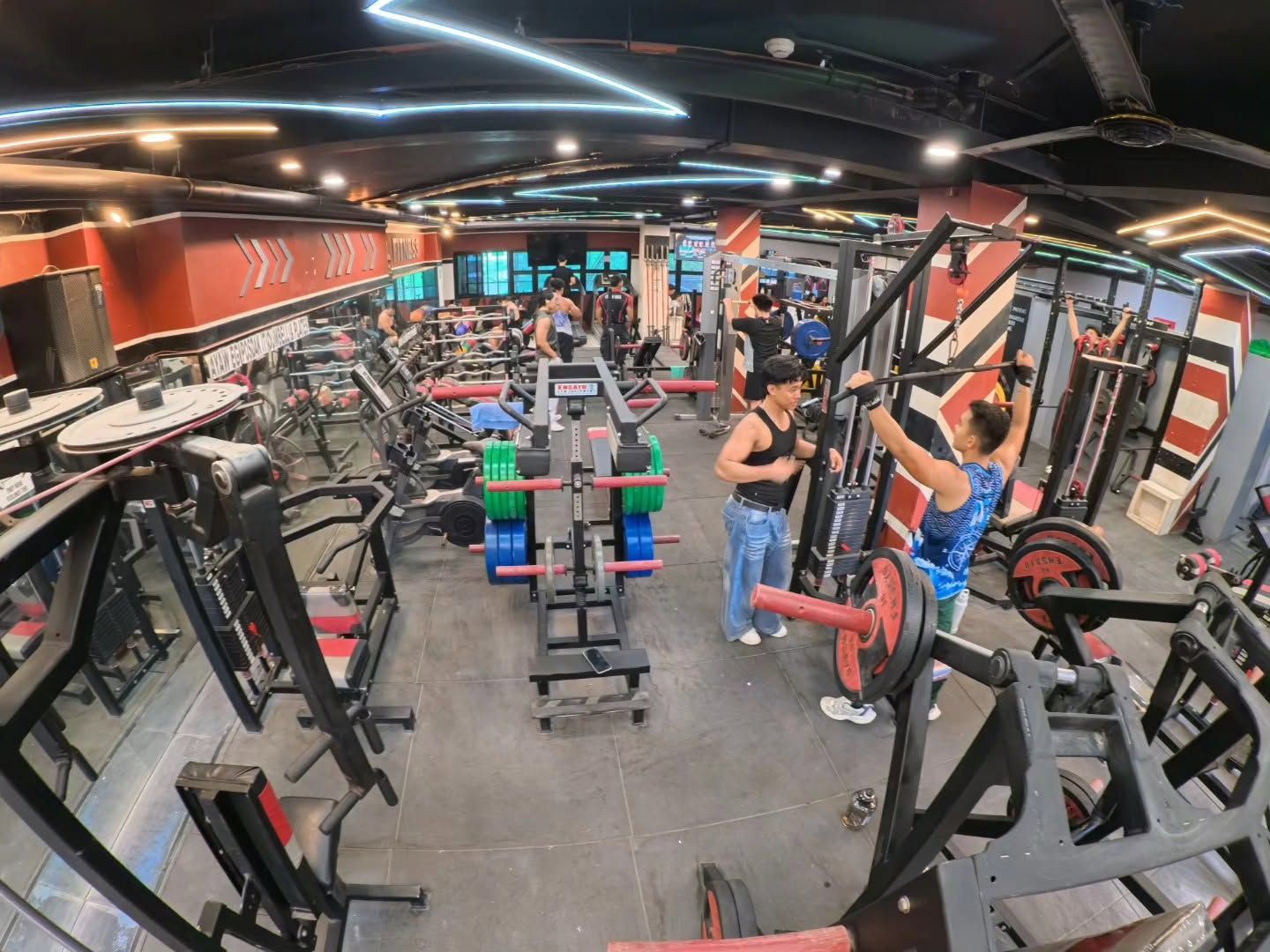 Gym