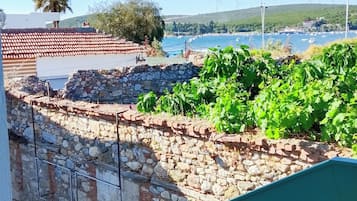 Une vue sur la côte, avec des éoliennes, un mur de pierre et de la végétation.