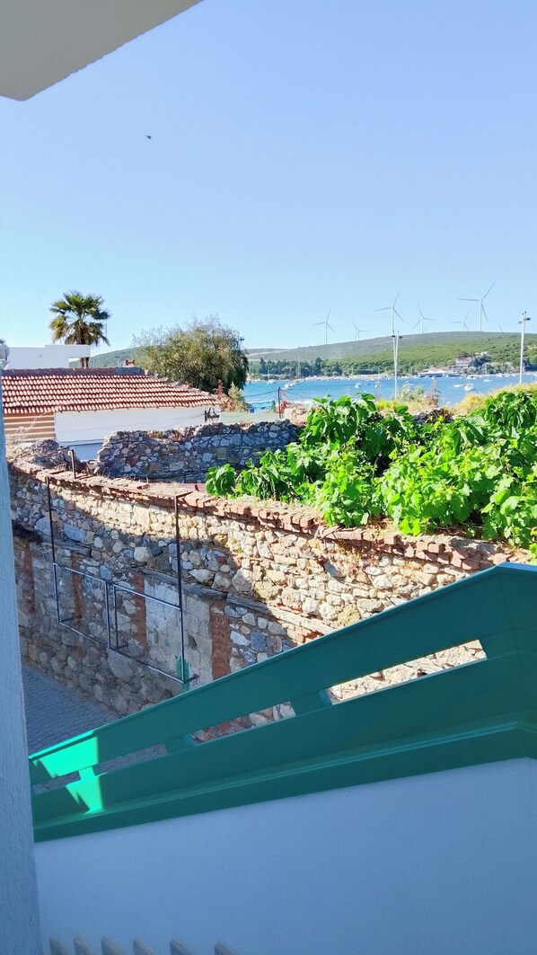 Vista costera con aerogeneradores, un muro de piedra y vegetación.