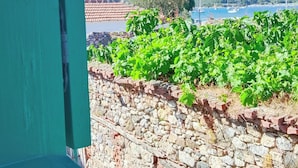 Vista a través de una ventana con pared de piedra y plantas verdes.