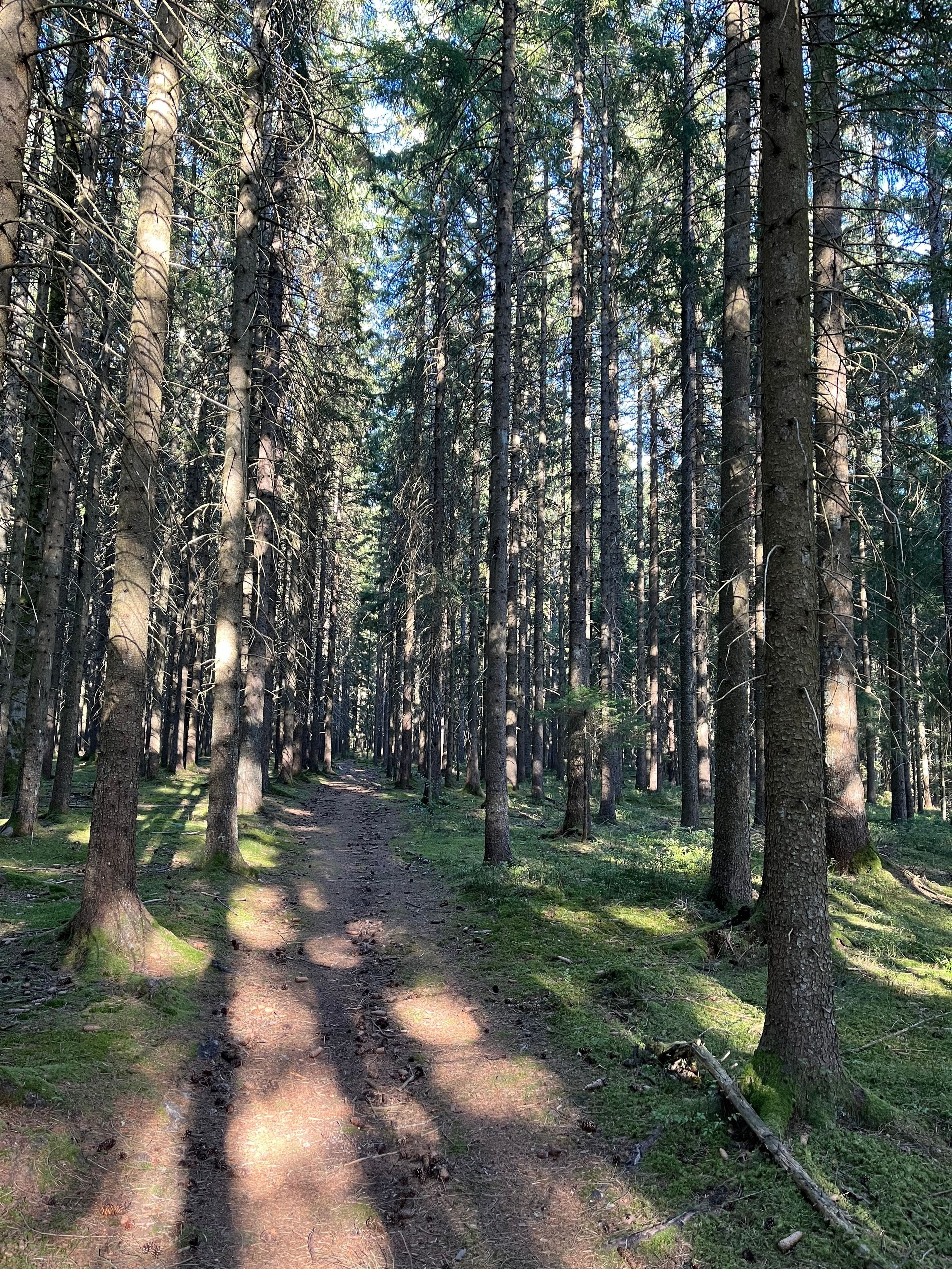 منوع