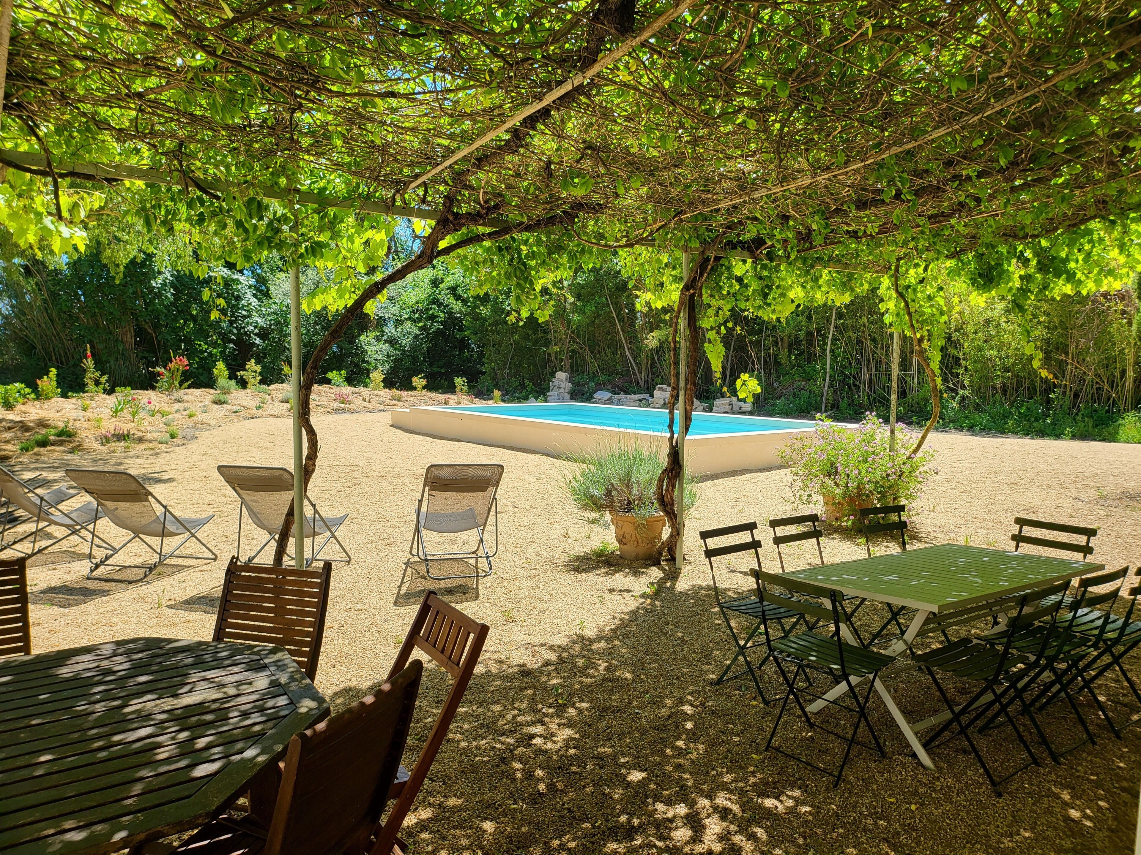 An outdoor area with a pool, lounge chairs, and a table under a tree canopy.