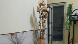 Shared Dormitory, Non Smoking, Air conditioning | Interior - Dazhong Backpacker's Hostel (Medan)