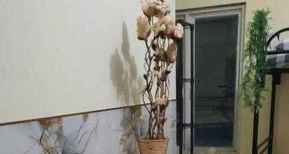 Dazhong Backpacker's Hostel