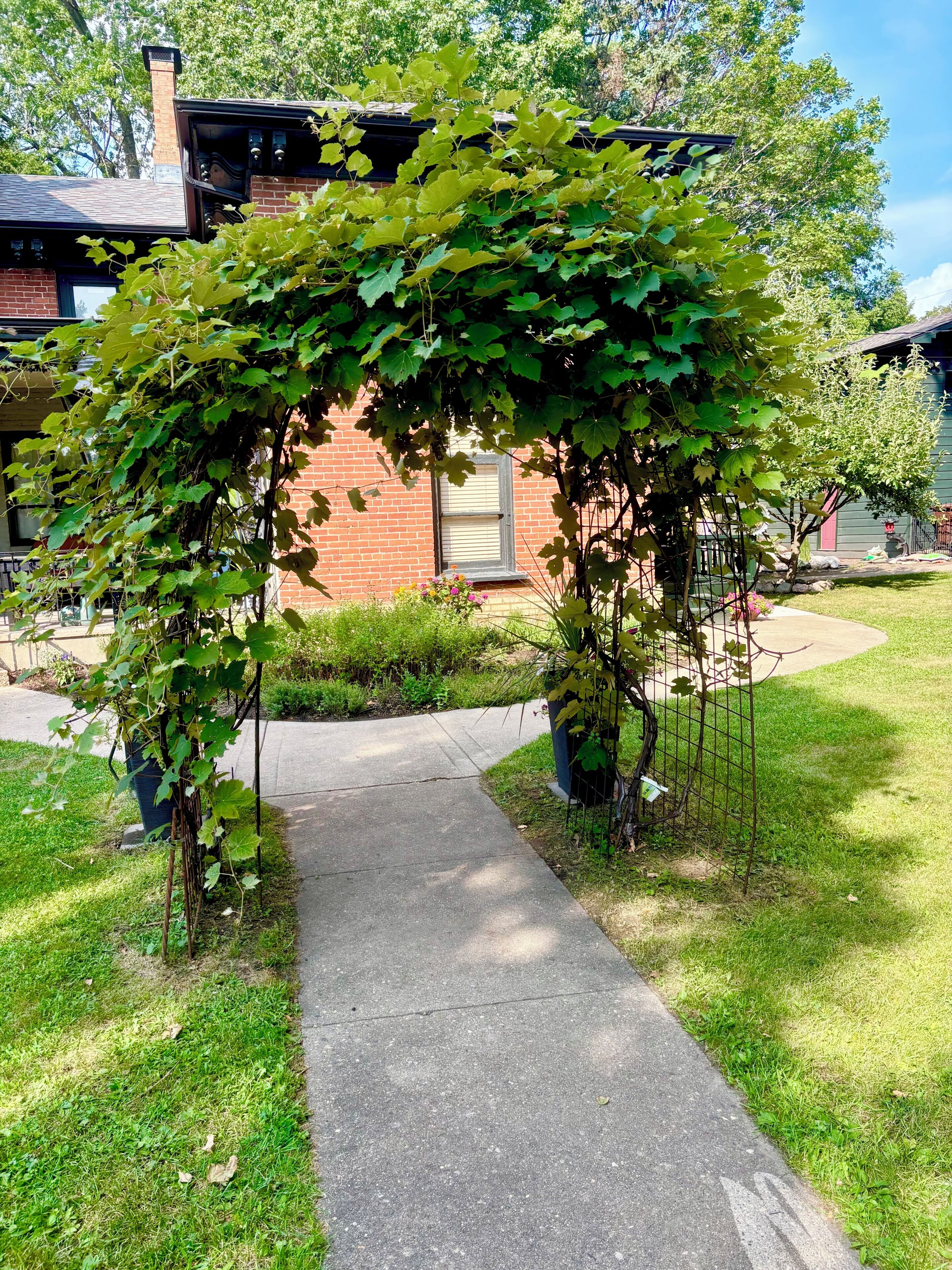 A pathway leading to a brick house with a vine-covered archway.
