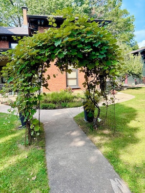 A pathway leading to a brick house with a vine-covered archway.