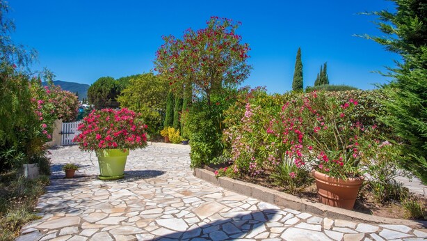 A stone pathway leading through a garden with potted plants and trees. - La Thébaïde – 3-Star Villa with Private Pool near Fréjus-St-Raphaël (Puget-sur-Argens)