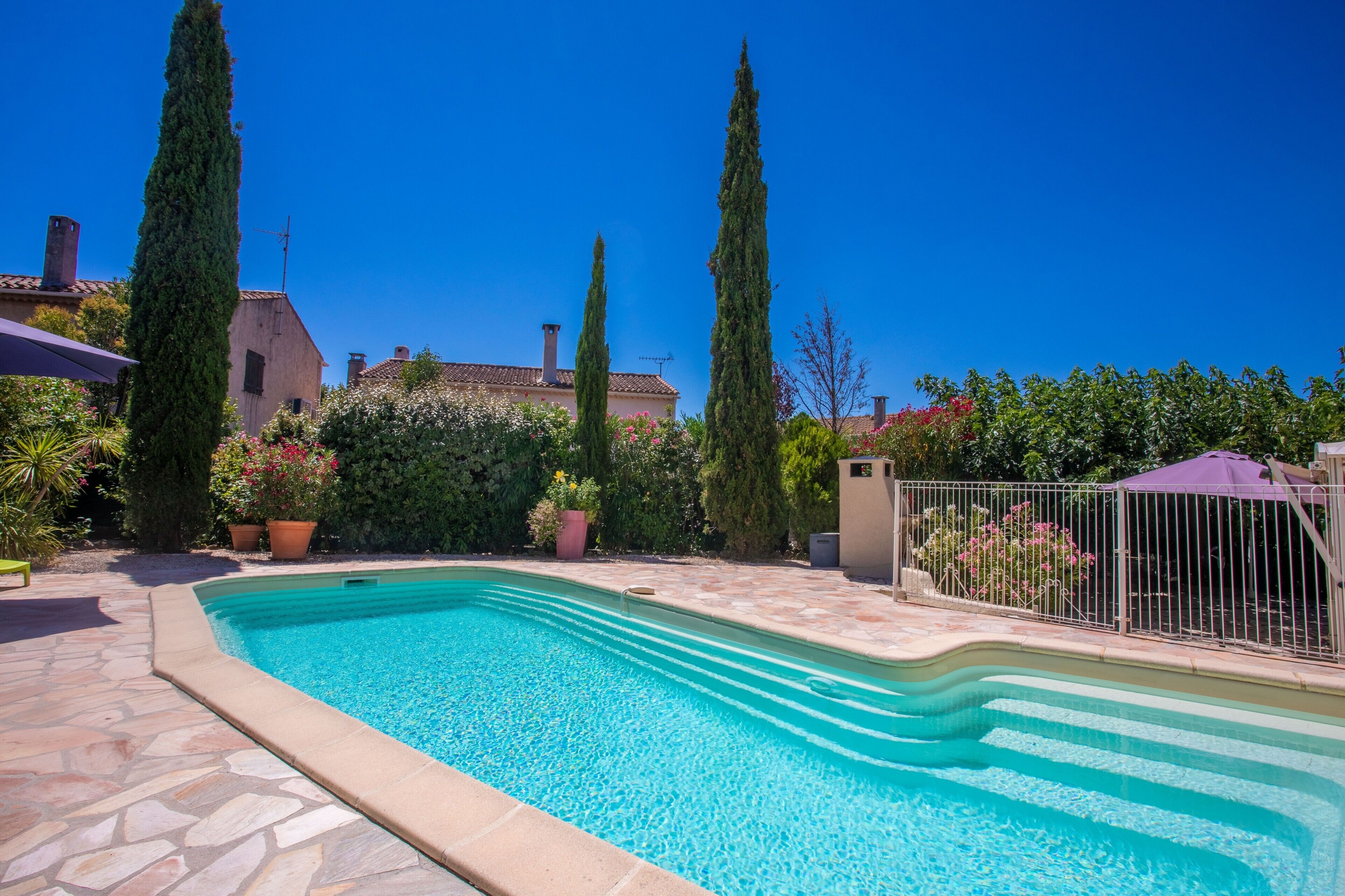 Una piscina con baldosas de piedra, rodeada de plantas en macetas y altos árboles.