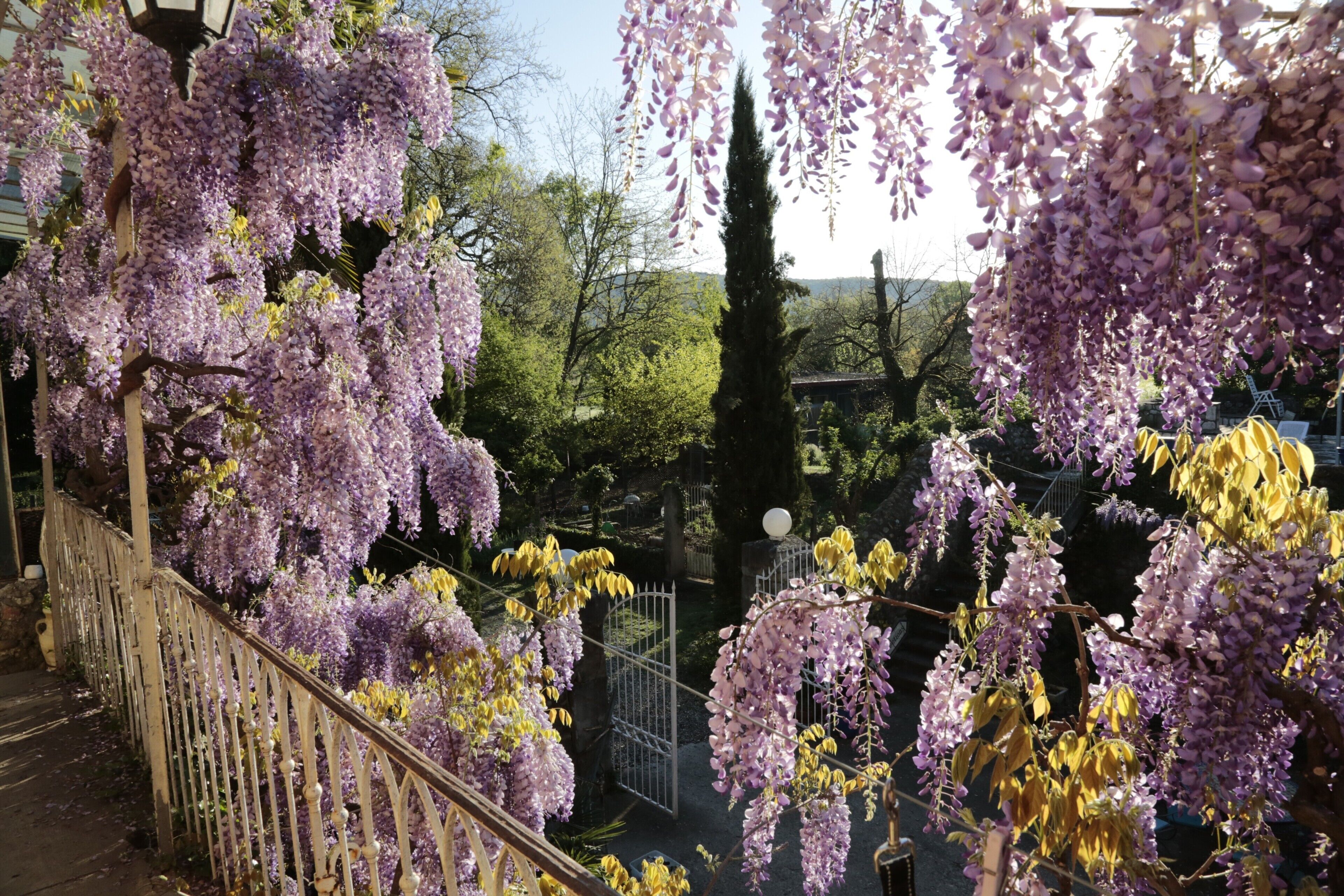 Parco della struttura