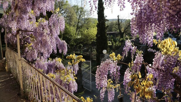A garden with purple flowering trees and a white fence. - Country House “Gîte Noisettes” with Shared Pool, Private Terrace, and Wi-Fi (Saint-Didier-sous-Aubenas)