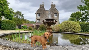 Una fuente de piedra, un perro y un edificio de piedra con un estanque al frente.