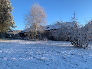 Esterni