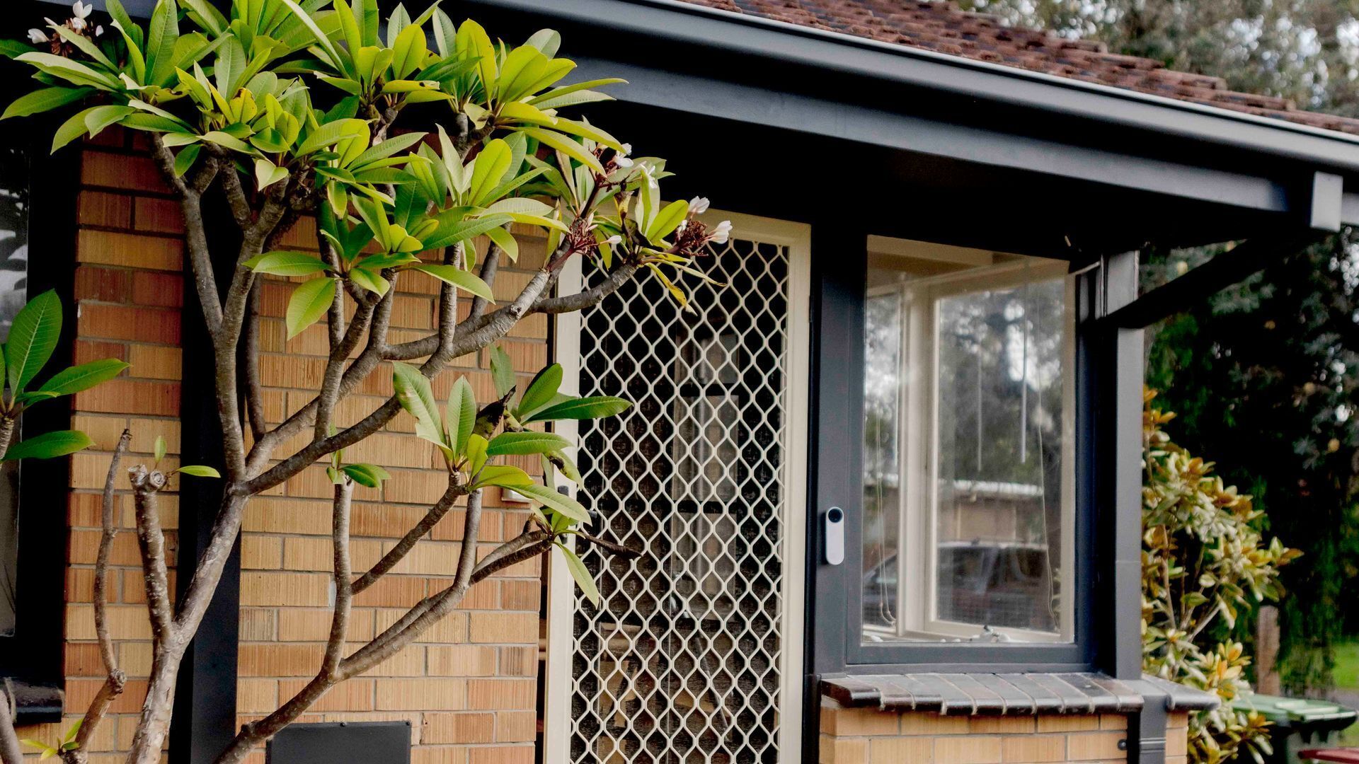 A house with a brick exterior, a window with a lattice screen, and a tree with green leaves.