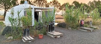 Dome Glamping Villena for Couples, with Breakfast