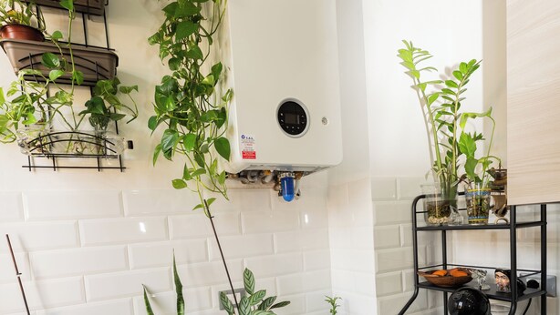 A compact kitchen with a washing machine, a sink, and various potted plants. - Lucia's Charming Apartment (Firenze)