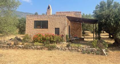 Off-grid paradise between the mountains and sea, between age-old olive groves