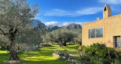 Off-grid paradise between the mountains and sea, between age-old olive groves