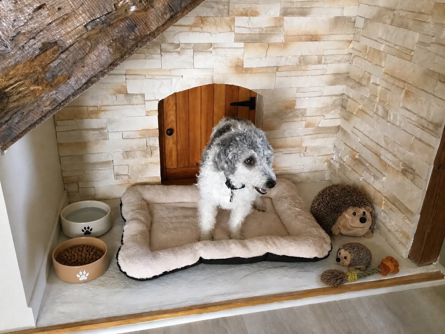 A cozy dog bed with a fluffy dog, a small wooden door, and two bowls with paw prints.