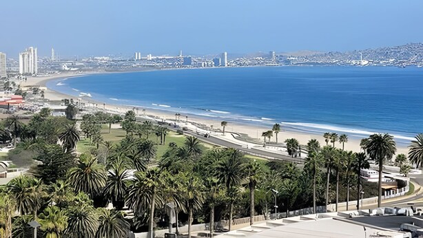 Un paysage urbain côtier avec une plage, des palmiers et un ciel bleu dégagé.