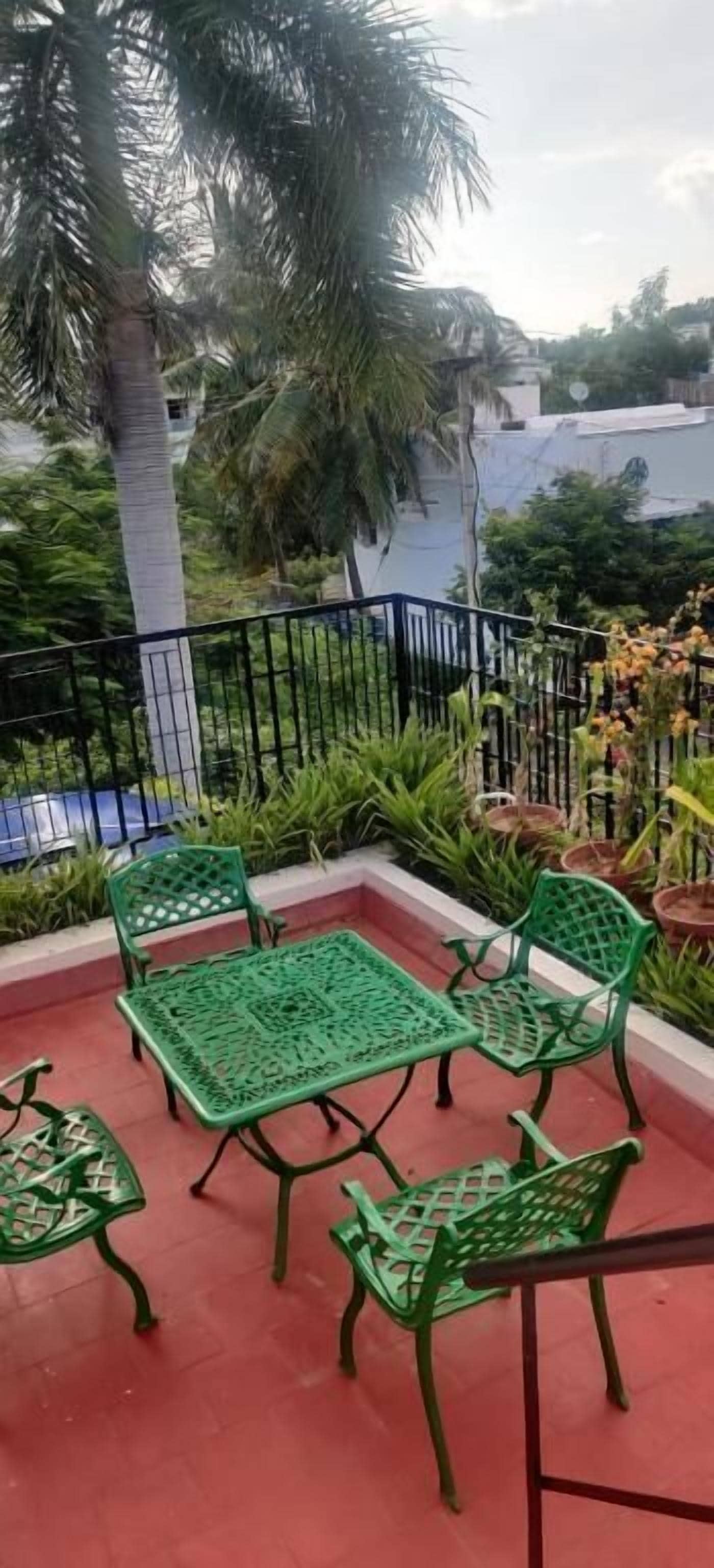 A terrace with green metal furniture, a palm tree, and potted plants.