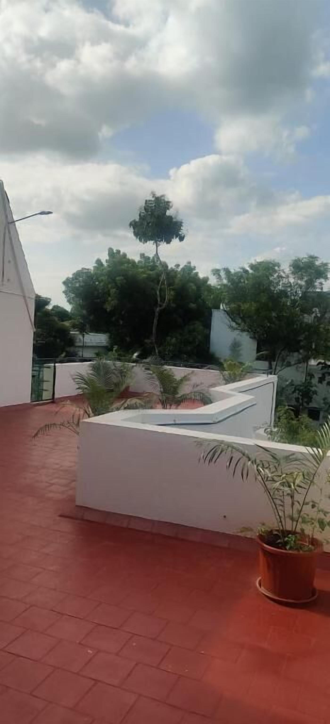 Eine Dachterrasse mit weißer Mauer, Topfpflanzen und blauem Himmel.