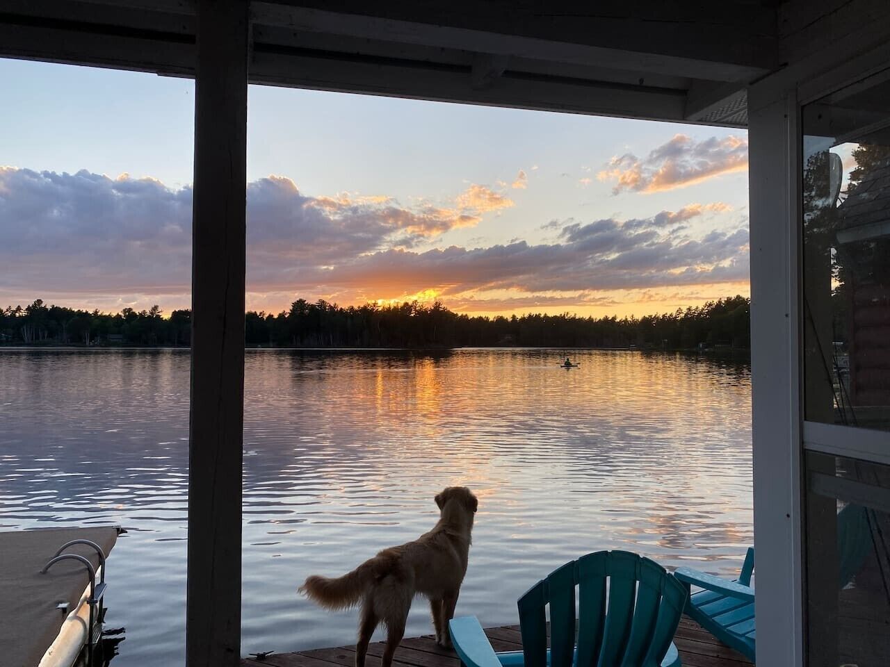 A dog on a dock overlooking a calm lake with a sunset.