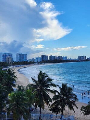 Una playa con palmeras, una orilla arenosa y el horizonte de una ciudad al fondo.