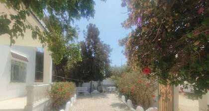 A villa for rent for the summer in Haouaria Beach—Nabeul Governorate—Tunisia